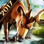 DEER HUNTER 2018