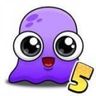 Moy 5