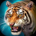 The Tiger