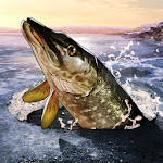 Fishing Clash: Catching Fish Game. Bass Hunting 3D